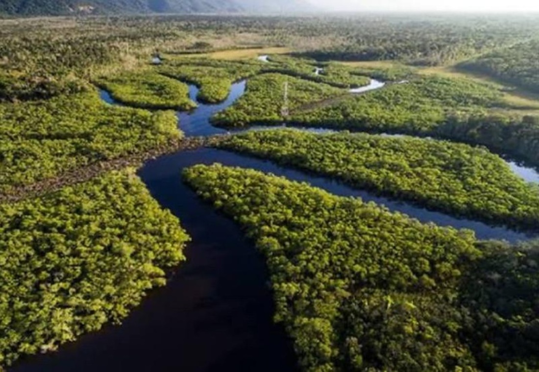 Reservas sustentáveis no Amazonas são criadas